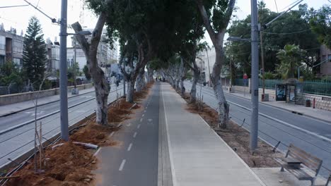 Von-Bäumen-Gesäumter-Radweg-Mitten-Auf-Der-Straße-In-Tel-Aviv