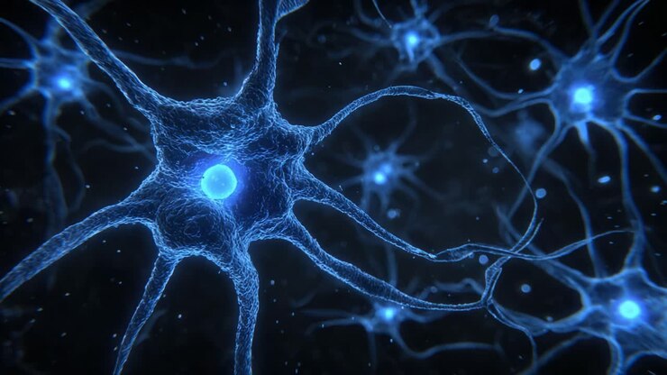 A Detailed Look at Neural Connections: Exploring the Intricate Structure and Function of Neurons in a Stunning Visualization of the Nervous System