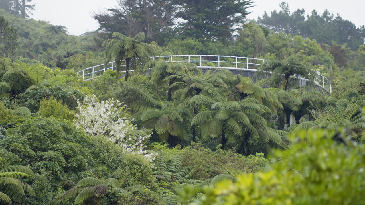 Bridge Surrounded By Dense Foliage On Rainy Day In New Zealand. wide shot