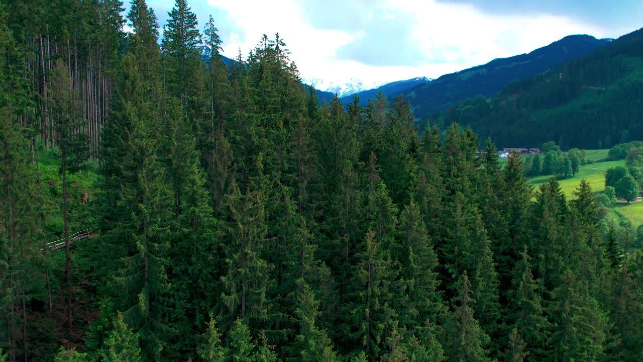 하이타우에른 국립공원 잘츠부르크 주립 고산림