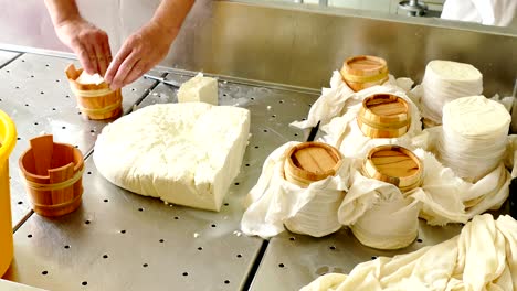 production of cheese in the milk industry