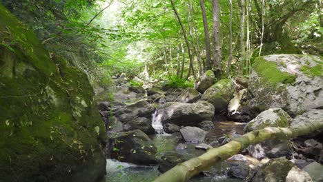 una corriente que fluye a través de las rocas.