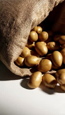 patatas en una bolsa de tela