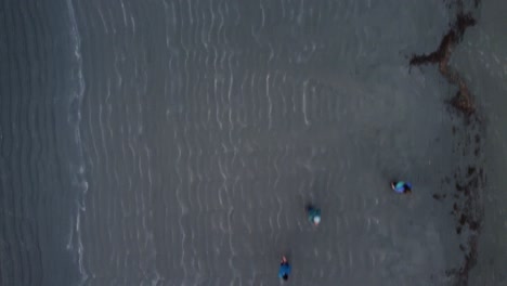 hermoso paso elevado de personas caminando en una playa de arena en kyuquot sound, isla de vancouver, bc