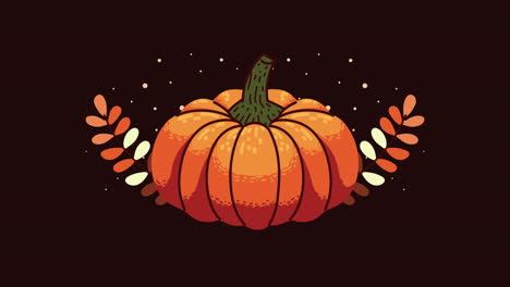 pumpkin vegetable autumn season animation