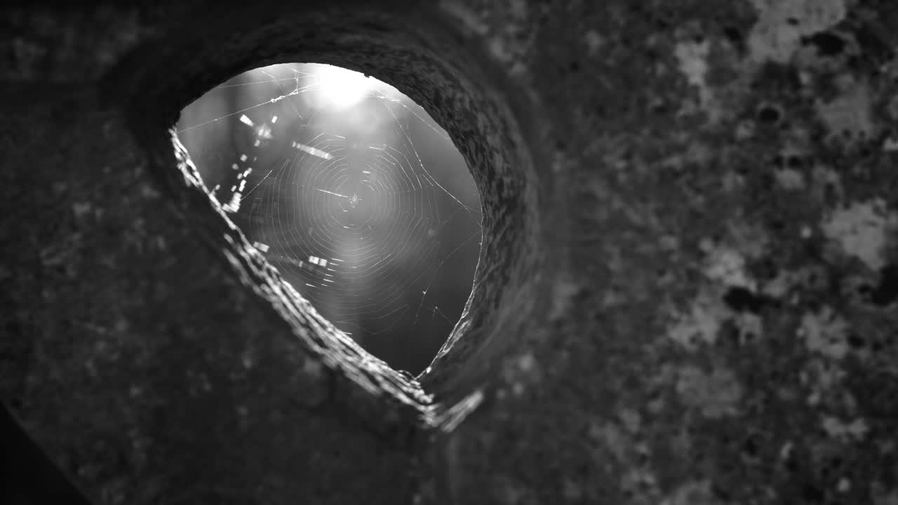 Un primo piano inquietante a infrarossi di una delicata ragnatela luminosa all'interno di un'apertura circolare di una struttura in pietra erosa. Ideale per documentari di mistero, storia o natura.