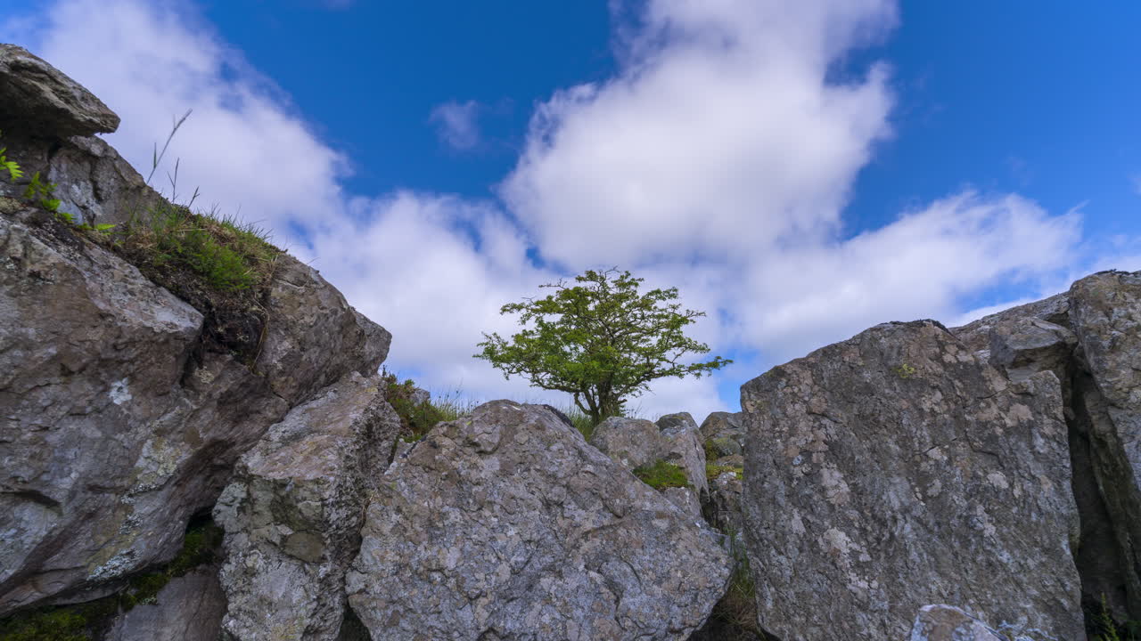 Time lapse of rural landscape with a single tree along rocky foreground on hillside on a spring sunny day in Arigna mountains in county Leitrim in Ireland