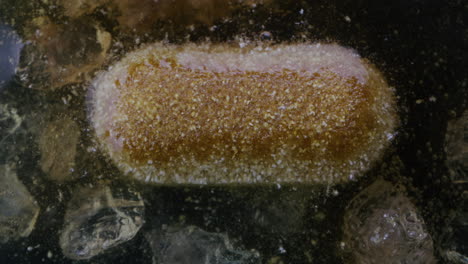 fried food item