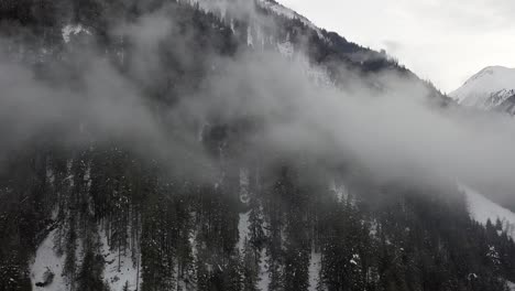 misty drone-shot flying by trees in snowy mountains 4k