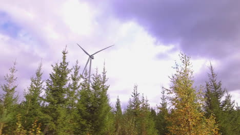 wind turbines filmed from car window in a remote forest road