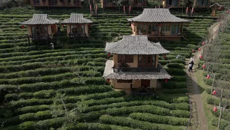 Reveal-shot-of-the-Japanese-style-houses-on-the-hill-in-North-Thailand