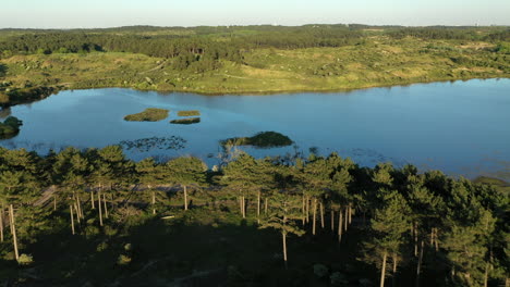 aerial flying low over trees and vogelmeer in national park kennemerland