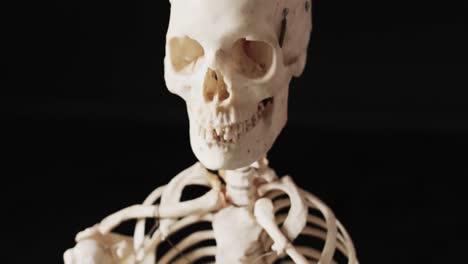 Video-of-close-up-of-halloween-skeleton-and-copy-space-on-black-background