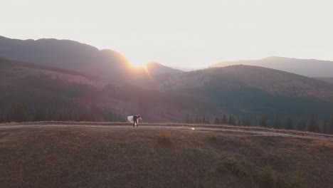 Newlyweds-dancing-on-a-high-slope-of-the-mountain.-Groom-and-bride.-Aerial-view