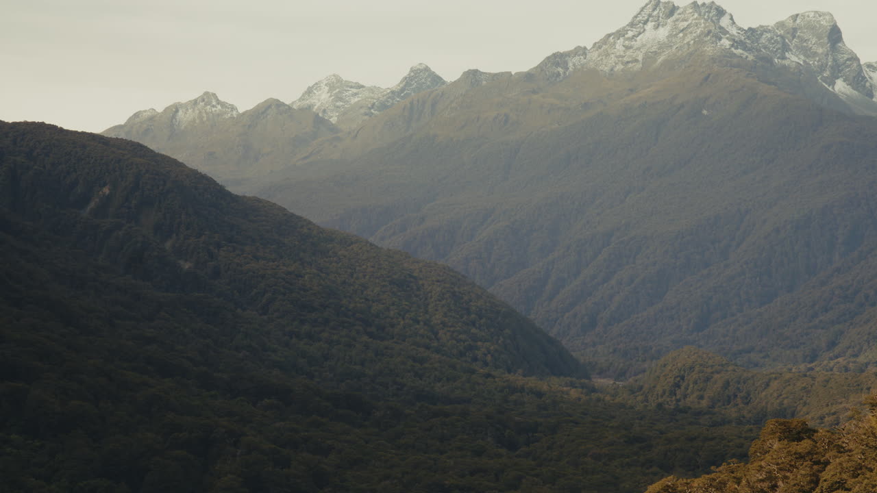 paisaje de valle de bosque montañoso