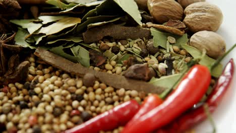 various spices in plate on white background 4k