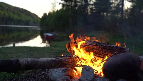 slow motion of a campfire by the lake