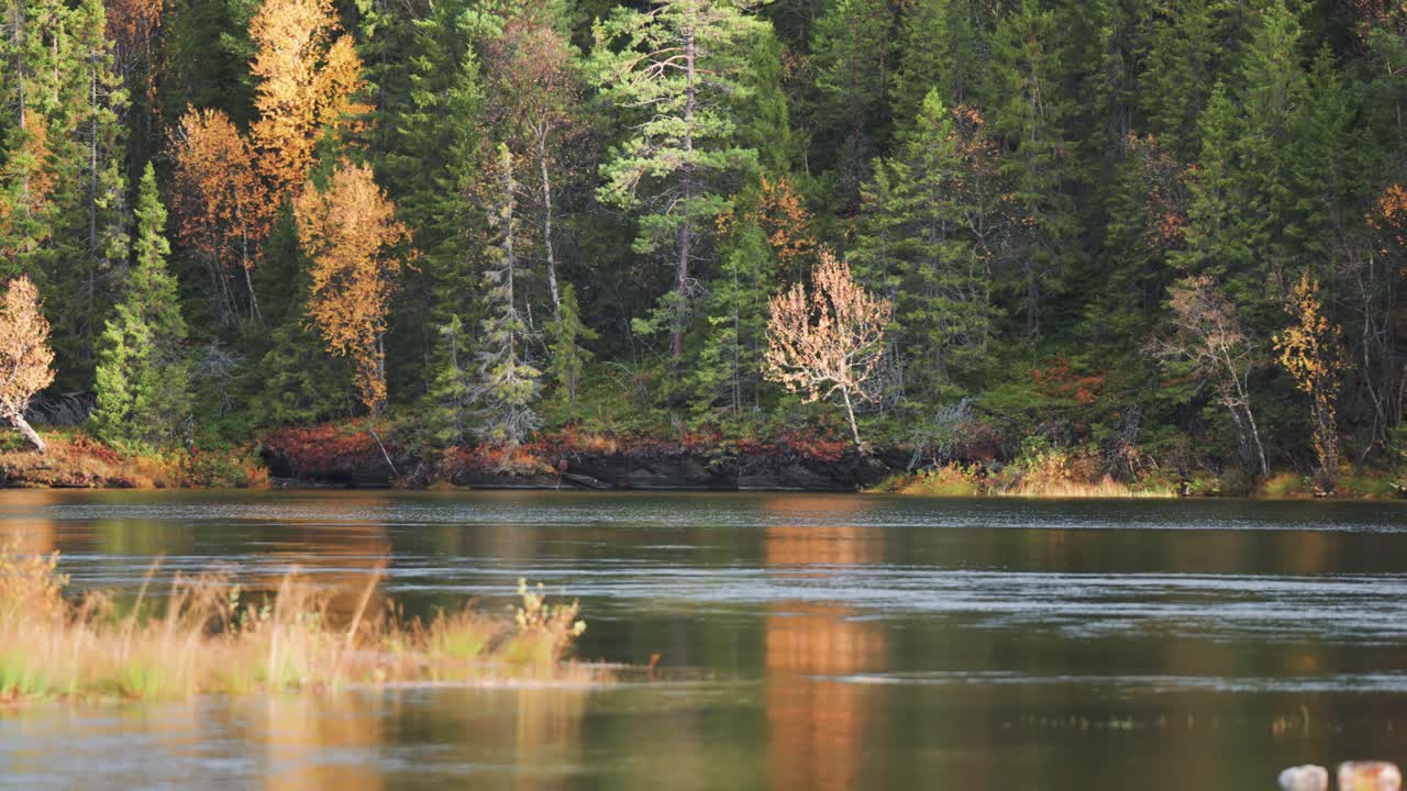 A tranquil lake, its shores adorned with withered grass, while an ...