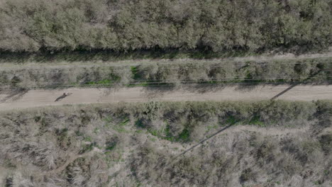 Aerial-shot-of-person-on-bike-walking-down-dirt-path-in-Costa-Mesa,-California