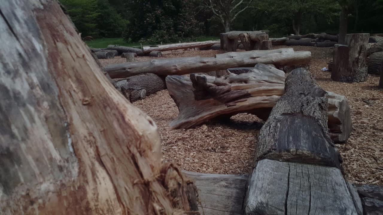 당당한 집 정원에서의 하루