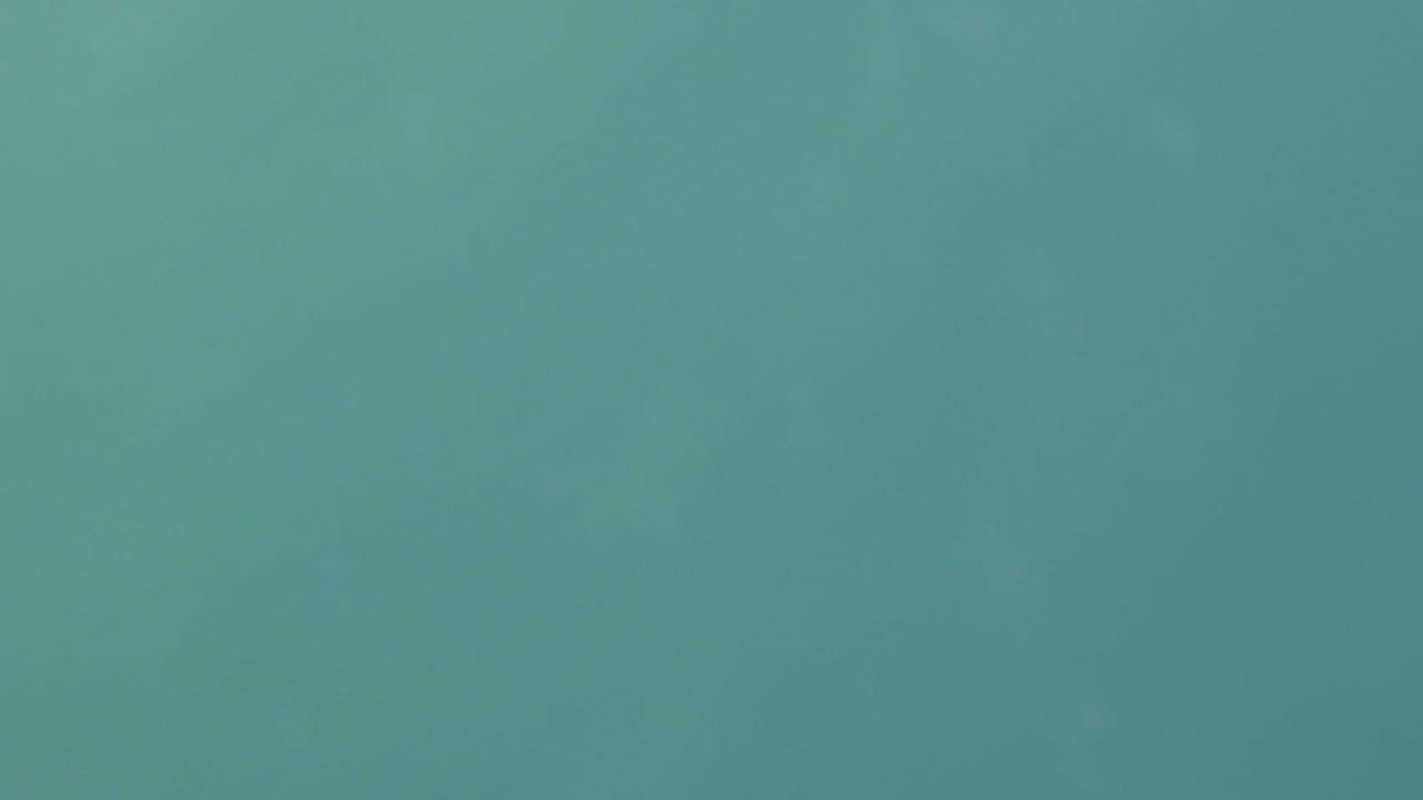 experimente la alegría de un encuentro cercano con un delfín juguetón en las aguas claras de akaroa, nueva zelanda, un punto culminante de los recorridos por la vida silvestre en la región.