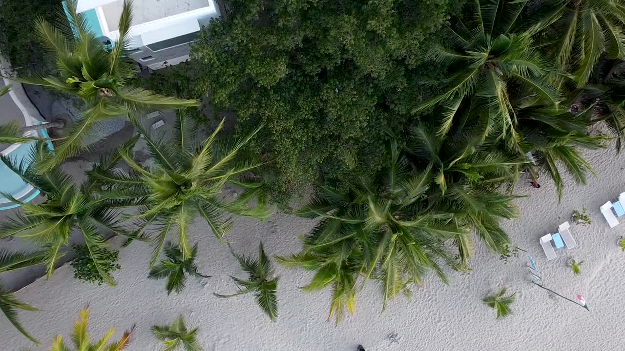 toma aérea de pedestal de arriba hacia abajo de palmeras y un lujoso resort en una playa paradisíaca en sayulita, méxico