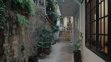cozy garden outside of the house