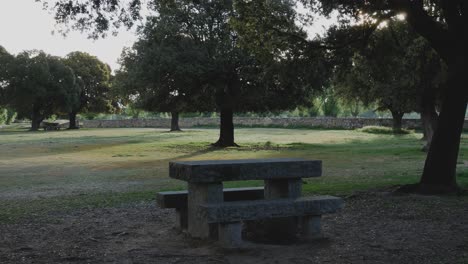 a outdoor table and benches made of stone