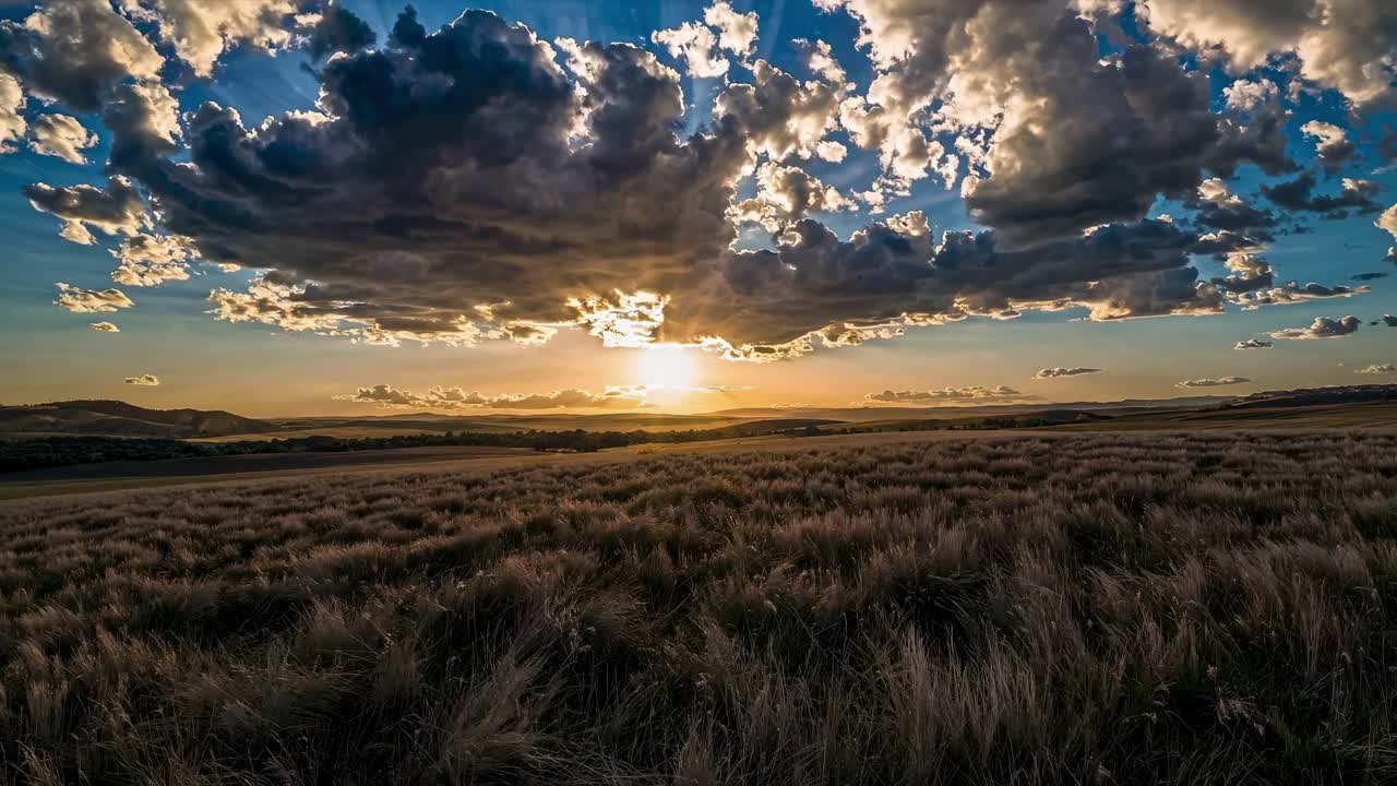 A breathtaking landscape video captures a sunset over a wheat field
