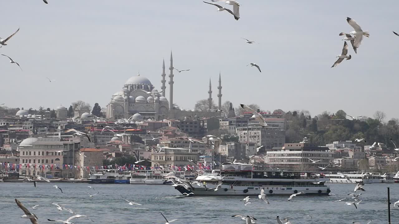 터키 의 이스탄불 에 있는 보스포루스 해협 을 날아다니는 해파리 들