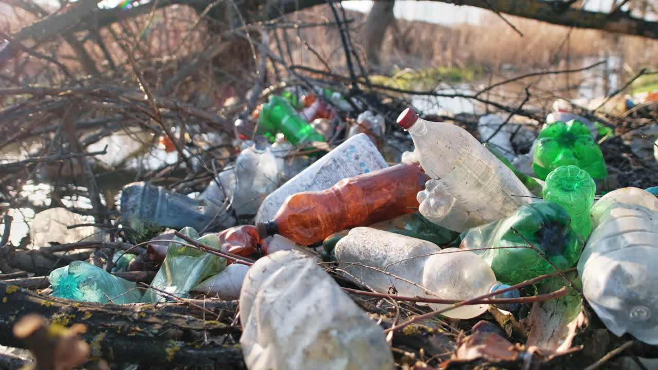 River coast with a lot of scattered plastic bottles