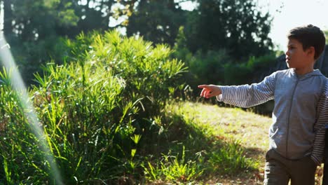 padre e hijo mirando la naturaleza en el parque