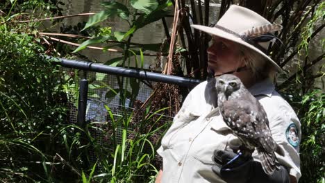 ranger gently handling a snowy owl in nature