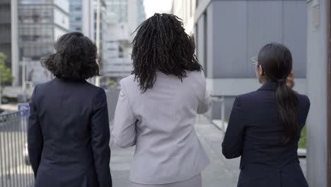 back view of businesswomen walking on street