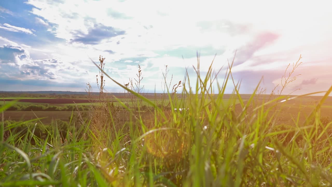 푸른 풀은 구름이 가득한 하늘 아래
