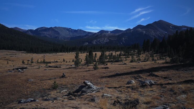 Tioga Pass plains Yosemite National Park West Portal entrance wilderness forest rugged rocky formation terrain California Lee Vining forest sunny blue sky Sierra Nevada Mountains nature landscape pan