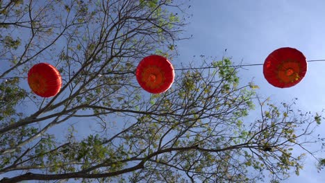 view the red lantern blow by wind in morning.