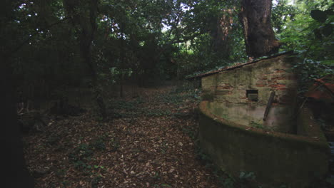 old abandoned garden and yard - panning shot