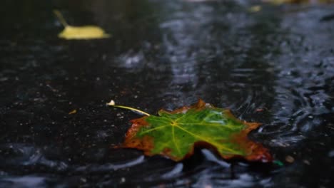 Autumn-rain-in-bad-weather,-rain-drops-on-the-surface-of-the-puddle-with-fallen-leaves.