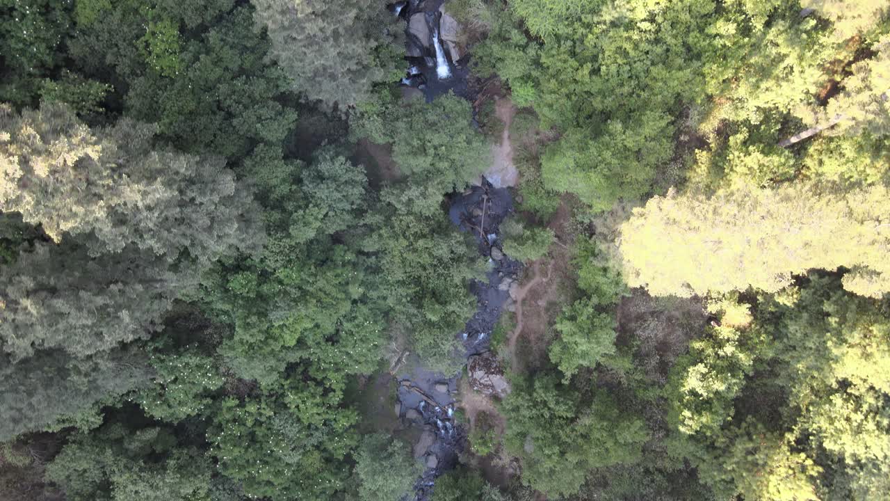 vista cenital de un pequeño río en medio del bosque
