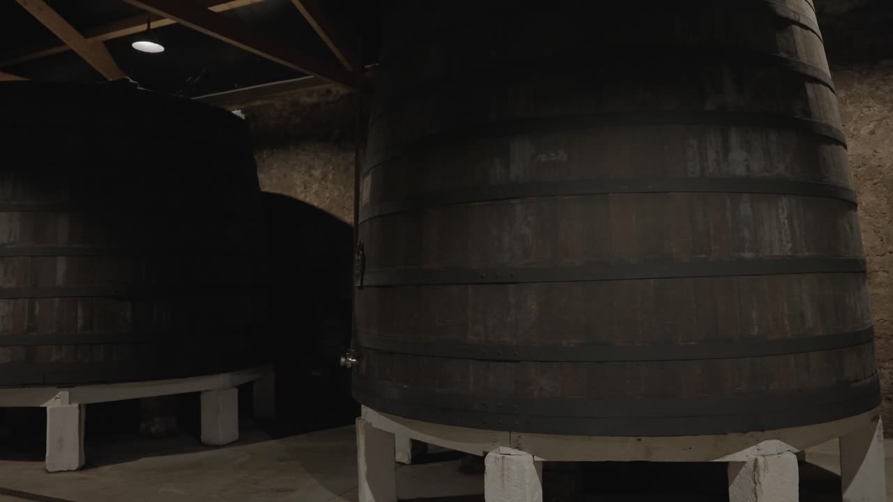 Primo piano di grandi botti di legno in una cantina in pietra, Douro