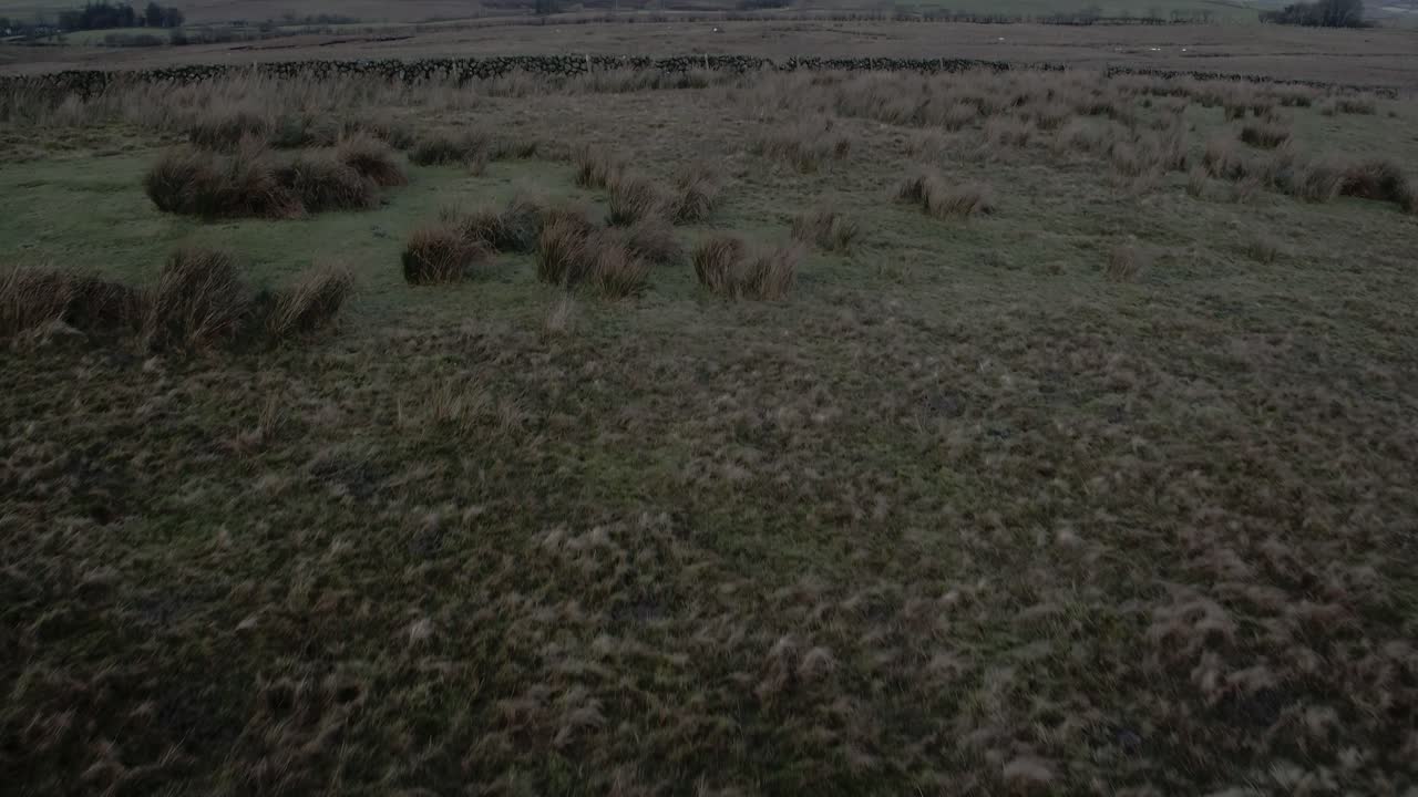 Vista aerea di una torbiera irlandese.
