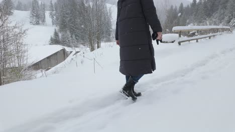 a person in winter coat walking during snowy daytime near countryside