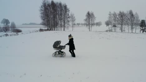 single mother push stroller with baby, fresh air activity during winter