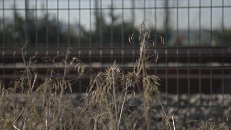 Zug-Auf-Den-Schienen,-4K-UHD-Slowmo