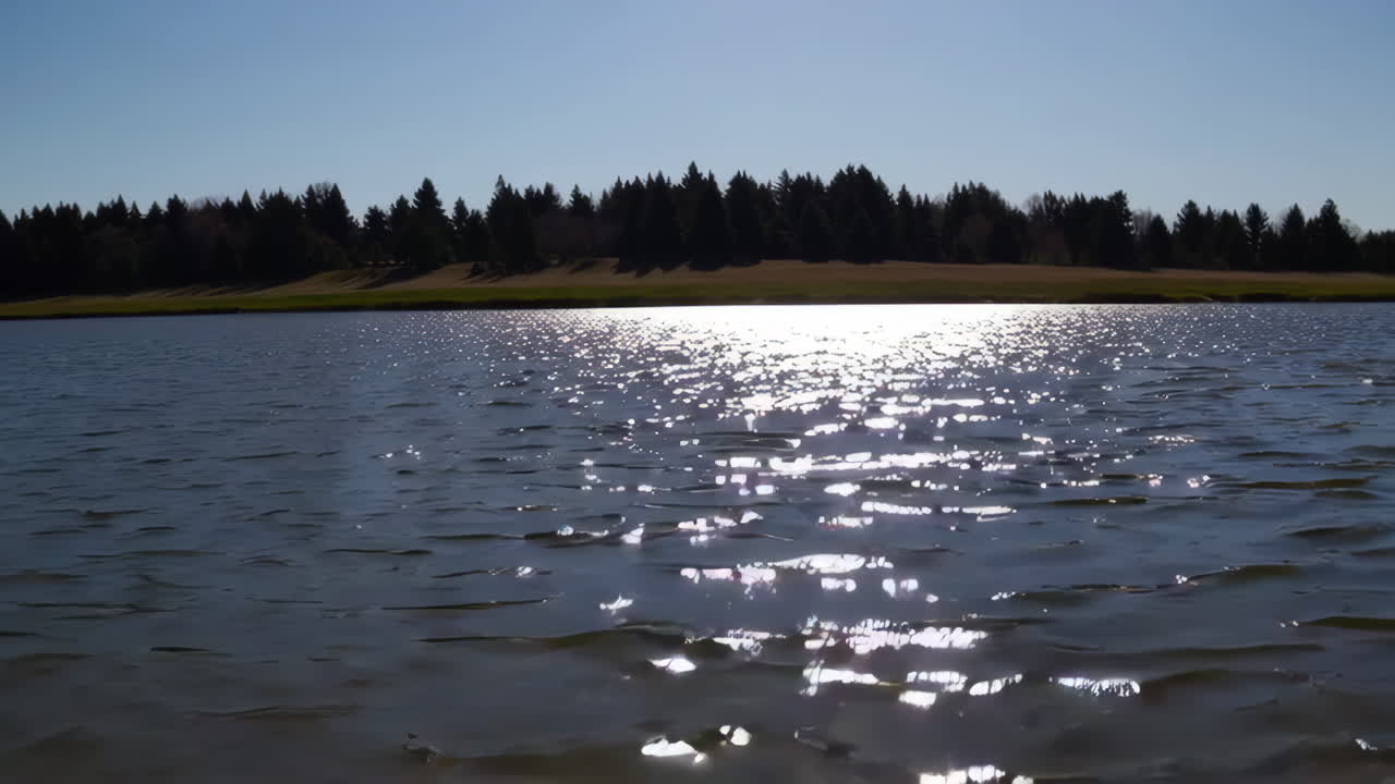 Sunny Day at the Lake