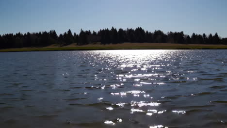 sunny day at the lake