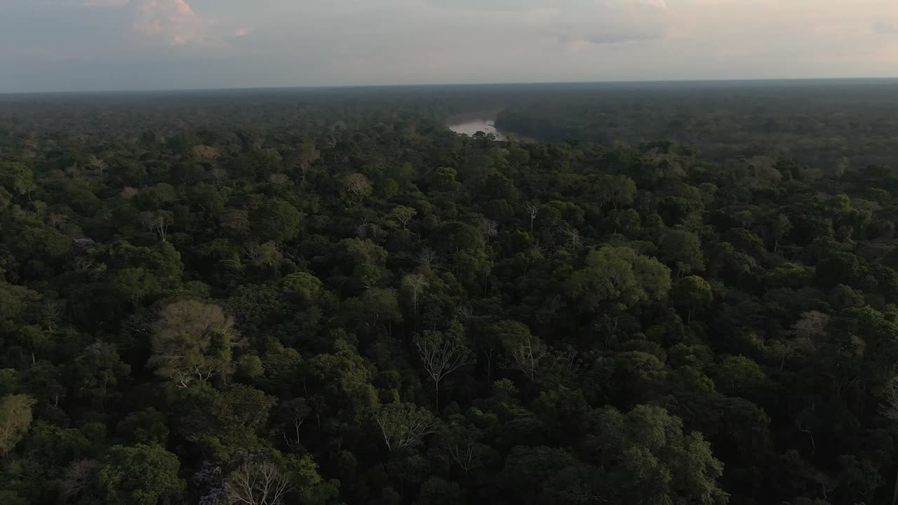 Dronebeelden die om hun as draaien boven een dicht regenwoud, met op de achtergrond een rivier en een uitgestrekt junglelandschap vanuit een hoog perspectief