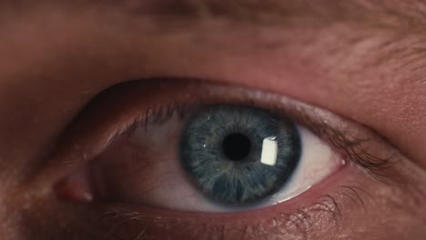 macro close up shot of a blue human eye opening the eye and showing pupil dilation