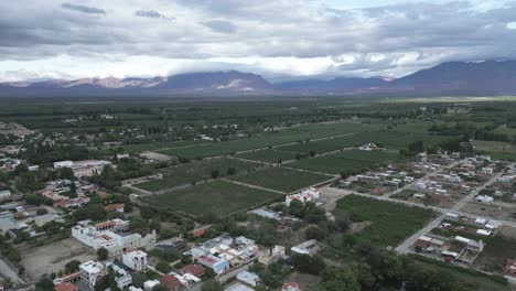 cafayate vineyards and town in salta, argentina, green wine production field valley below andean cordillera mountains, south america green landscape